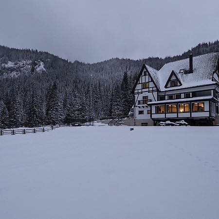 Chalet Alpina Moroeni Eksteriør billede