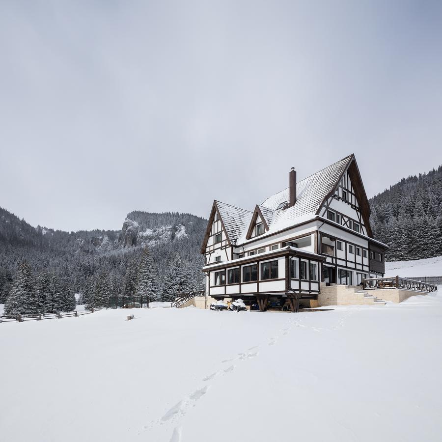 Chalet Alpina Moroeni Eksteriør billede